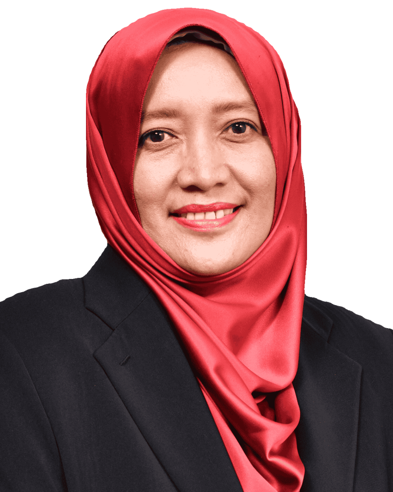 Prof. Anis_IFRC (1)